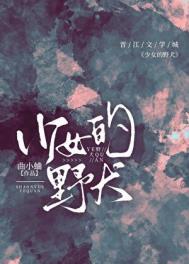 少女的野犬男主洁吗